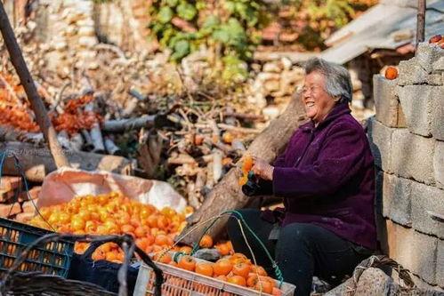 沂南吃瓜事件真相