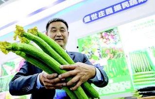 临沂中石油吃瓜,吃瓜群众围观真相揭晓  第2张