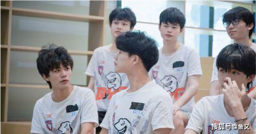 吃瓜大会瓶子,瓶子背后的故事与传奇