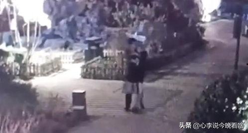 离奇吃瓜广告视频  第2张