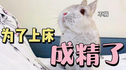 对手戏 吃瓜兔,娱乐圈对手戏背后的精彩故事