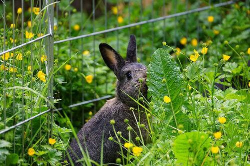对手戏 吃瓜兔,娱乐圈对手戏背后的精彩故事  第2张