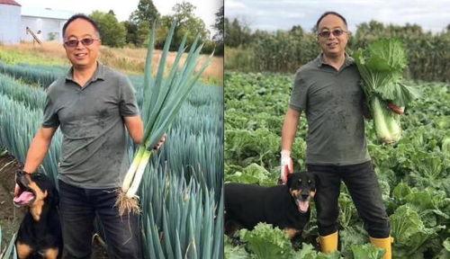 向前农场吃瓜大队,吃瓜大队的欢乐田园生活  第2张