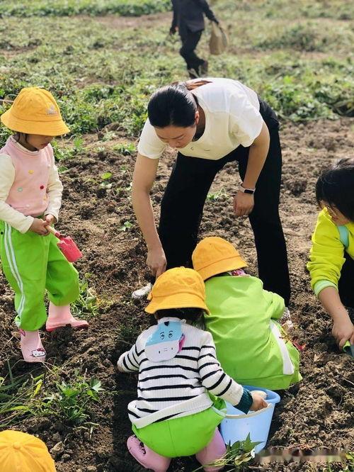 向前农场吃瓜大队,吃瓜大队的欢乐田园生活  第3张