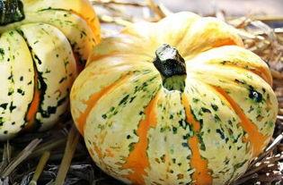 方瓜和角瓜一起吃  第2张