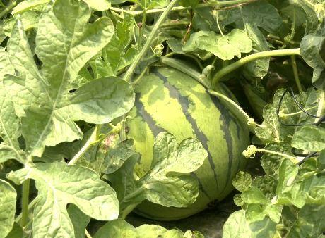 愚君吃瓜,揭秘娱乐圈背后的那些事儿