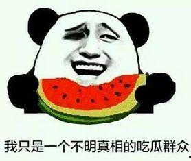 带你吃瓜解释亲亲,揭秘明星亲亲背后的甜蜜故事  第3张