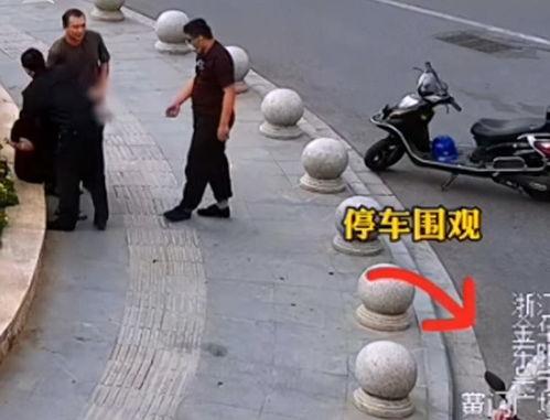 吃瓜围观小号168,揭秘娱乐圈背后的故事  第2张