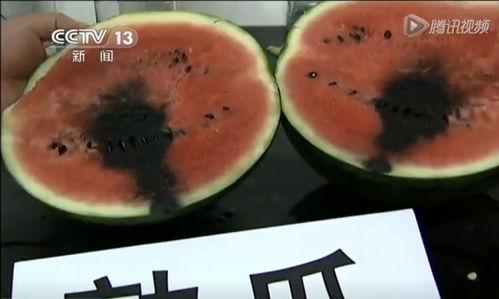 浙江吃瓜视频  第2张