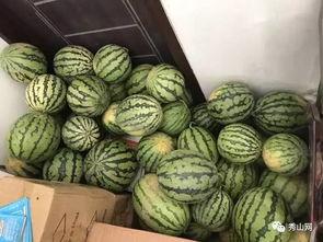 浙江吃瓜视频  第3张