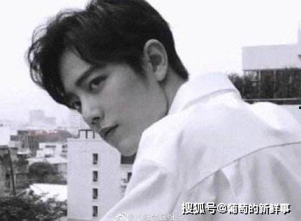 陈情令后续吃瓜,揭秘剧中人物命运走向与神秘瓜料  第2张