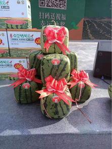 吃瓜群众称号灯,网络时代的旁观者与评论家  第2张