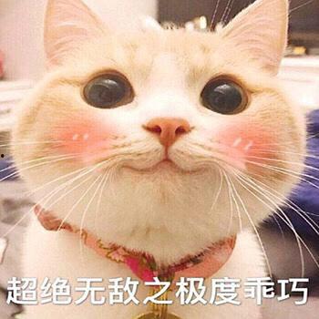 豆瓣组提起吃瓜,揭秘吃瓜群众的狂欢盛宴  第3张