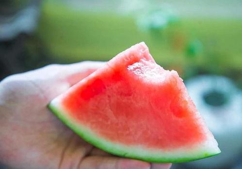 快乐吃瓜的图片,共享生活乐趣，品味人间烟火  第3张