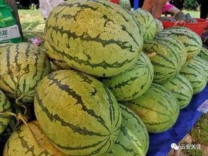 今日吃瓜天天吃瓜网,揭秘娱乐圈最新热点，吃瓜群众必看  第2张