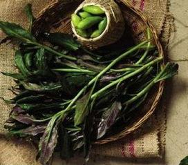 贵州吃瓜尖,吃瓜尖的独特风味之旅  第2张