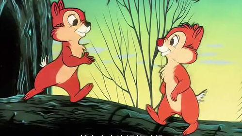 老鼠兄弟吃瓜照片,共享夏日清凉时光  第3张