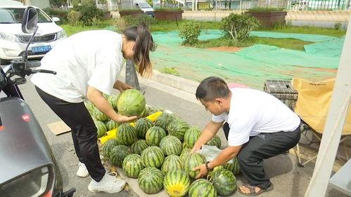 吃两天的瓜,揭秘娱乐圈风云变幻