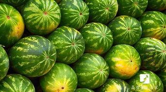 吃两天的瓜,揭秘娱乐圈风云变幻  第2张