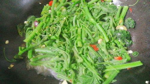 花脆冠军瓜怎么吃,美味多汁，轻松享用的夏日佳品  第3张