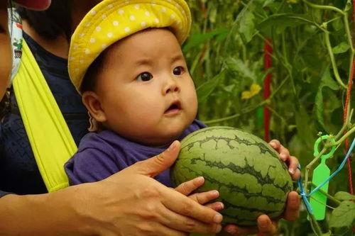 没睡醒吃瓜,揭秘娱乐圈最新热点