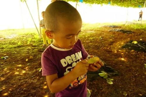 没睡醒吃瓜,揭秘娱乐圈最新热点  第2张