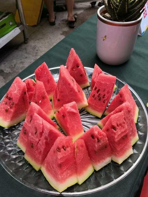 吃瓜王视频,短视频中的娱乐盛宴  第2张