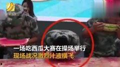 吃瓜王视频,短视频中的娱乐盛宴  第3张