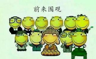 吃瓜群众彩礼  第3张