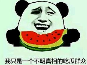 吃瓜群众为什么善于吃瓜,他们为何热衷于“吃瓜”现象  第3张