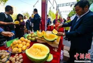 吃瓜趣派,揭秘娱乐圈幕后故事，带你领略明星们的真实生活  第2张