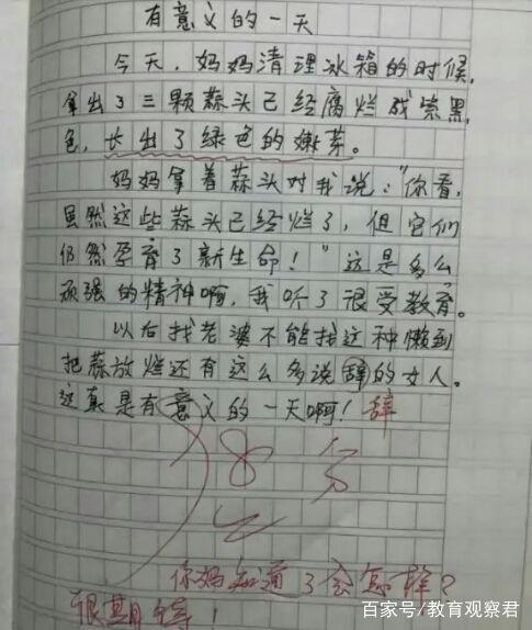 吃瓜的作文末段  第3张