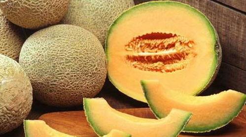 猜拳吃哈密瓜,共享哈密瓜美味  第3张