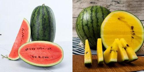 全新吃瓜角度,一场全新吃瓜盛宴，带你领略幕后风云  第3张