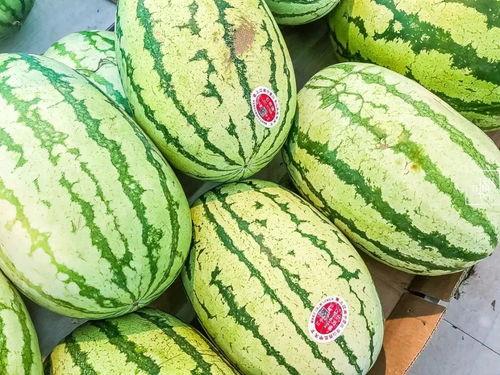 4点吃瓜,揭秘娱乐圈的幕后故事  第2张