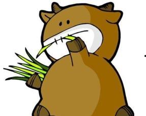 金牛座朋友吃瓜,瓜田里的智慧与品味  第2张