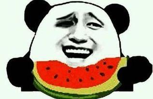 吃瓜群众男朋友,他的神秘面纱背后