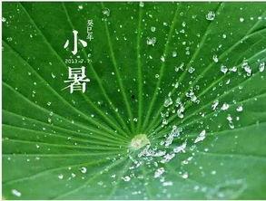 看花吃瓜诗句  第2张