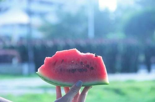 安静吃瓜视频,揭秘安静吃瓜视频的魅力  第2张