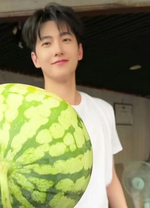 同一吃瓜图,一场视觉盛宴的诞生