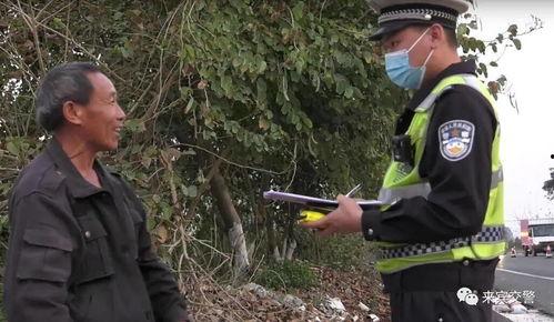 民警救狐狸吃瓜视频,网友围观吃瓜现场  第2张