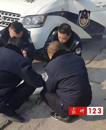 吃瓜警察完整事件,网络舆论下的执法争议与反思  第3张