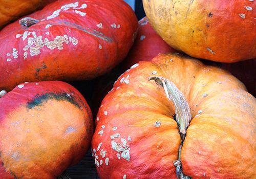 发霉的瓜可以吃吗,能否安心入口？