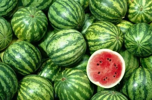 吃瓜了吃瓜了世纪大黑幕,吃瓜了吃瓜了世纪大黑幕背后的真相  第2张