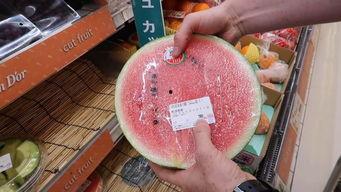 吃瓜群众取名难吗,趣味与挑战并存  第2张