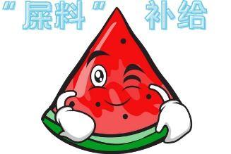 大型吃瓜现场小叮当,揭秘小叮当背后的惊人真相