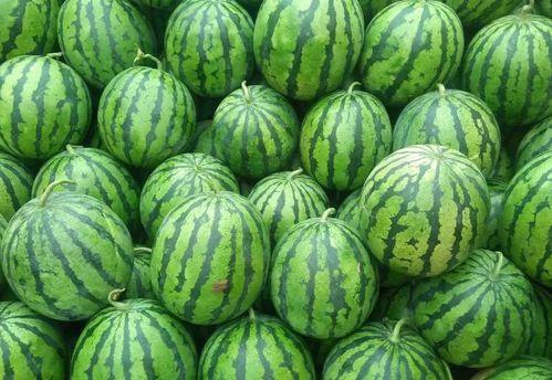 51热门大瓜今日吃瓜爆料,今日吃瓜爆料，揭秘娱乐圈最新动态  第3张