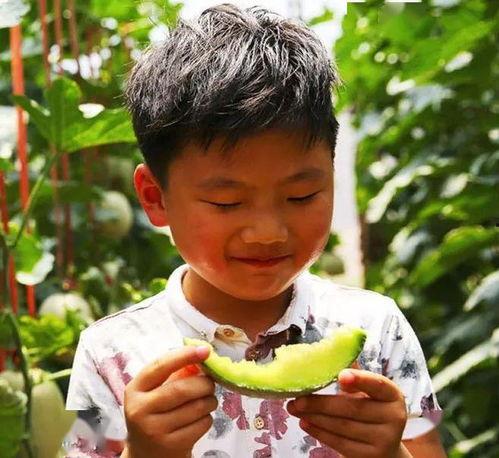 比初恋还甜吃瓜,比初恋还甜的吃瓜盛宴  第3张