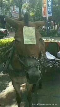 钦州的吃瓜群众,吃瓜群众的热议焦点  第2张