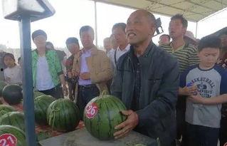 钦州的吃瓜群众,吃瓜群众的热议焦点  第3张